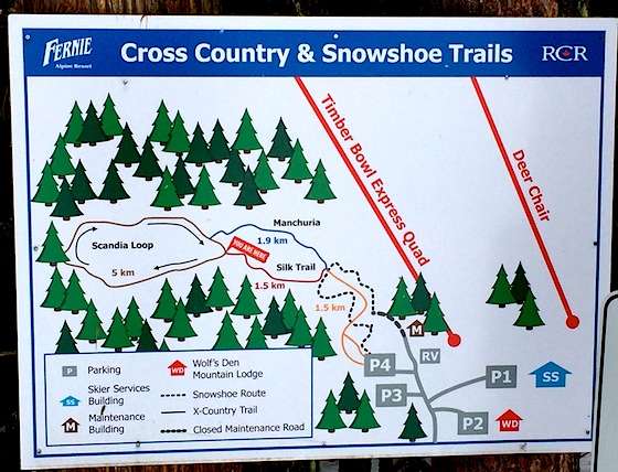 Fernie Alpine Resort Cross Country Trails