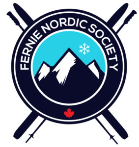 new fns logo