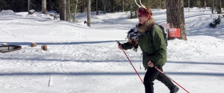 Results of Flying Viking Challenge flying viking 2020