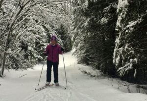 skier on lizard creek trail