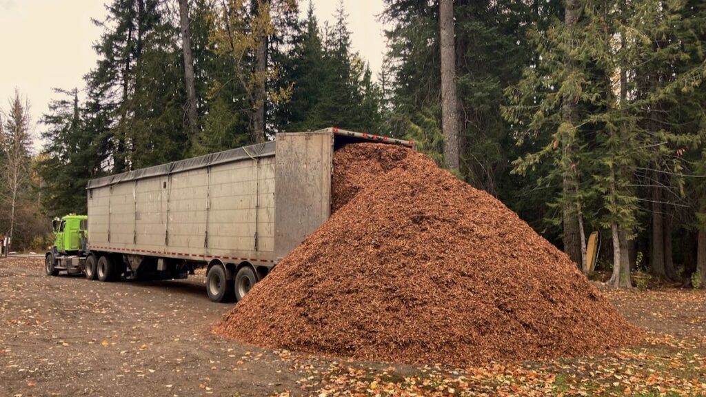 wood chips rocky mountain landscape bark