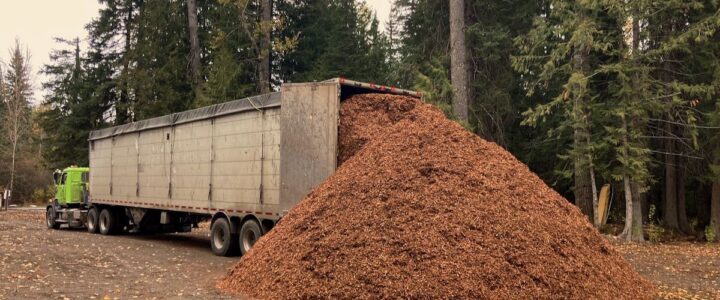 Volunteers at Work Party wood chips rocky mountain landscape bark