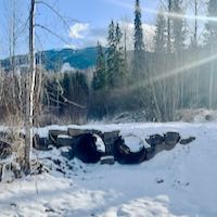 river bridge trail