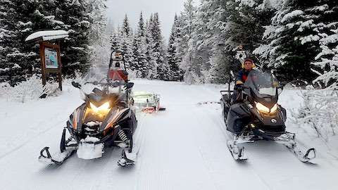 groomers